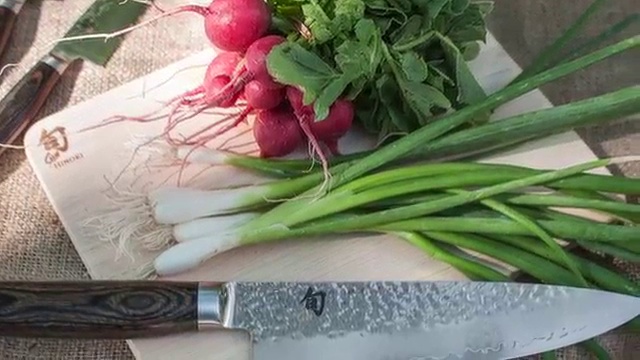 Amazon.com: Shun Premier 9 1/2